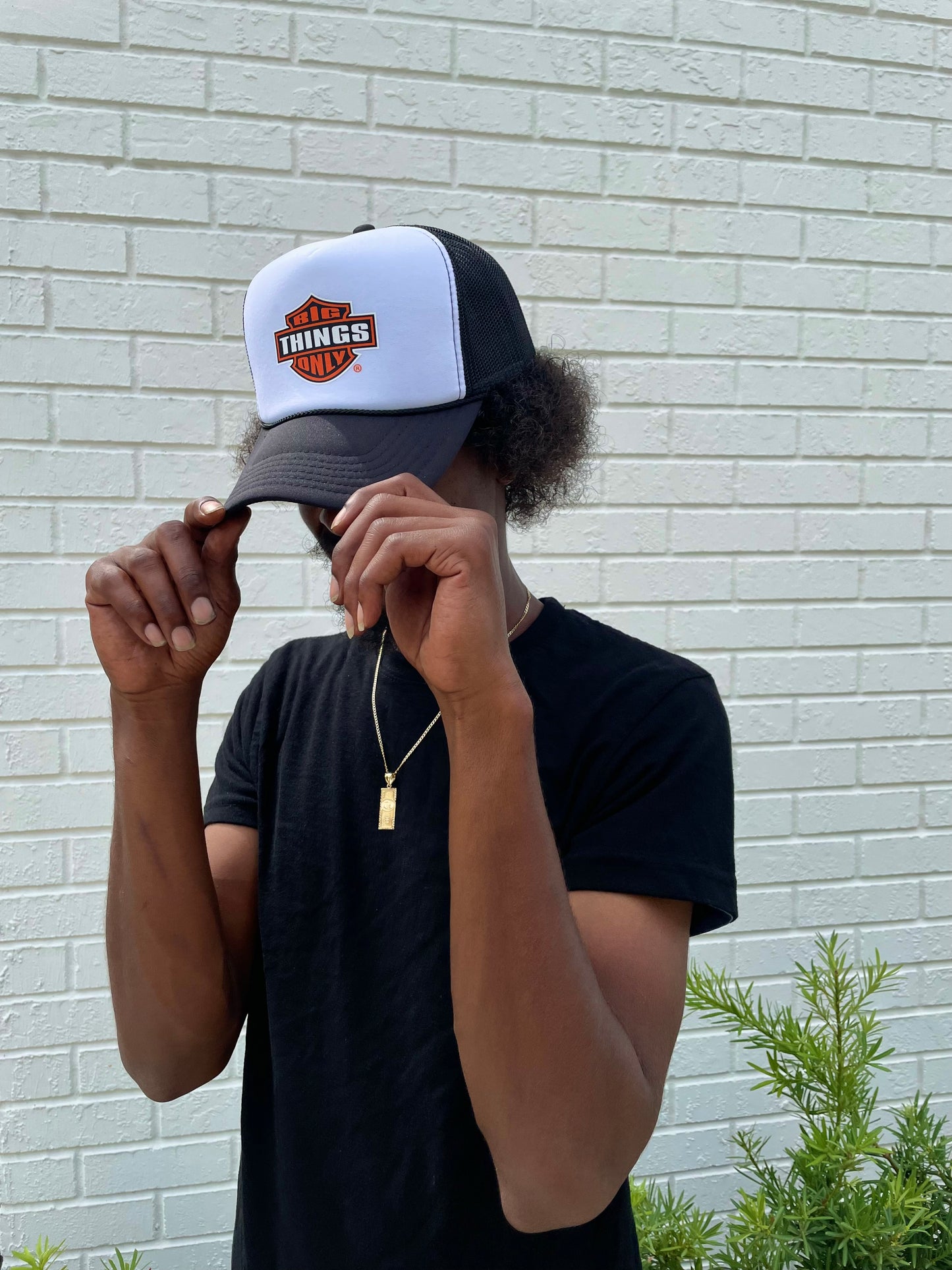 BTO Harley Trucker Hat